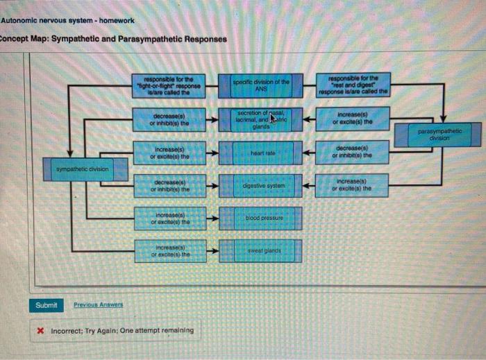 Concept map autonomic somatic comparison nervous than system using propositions create systems neurons contrast compare motor effector connects only solved