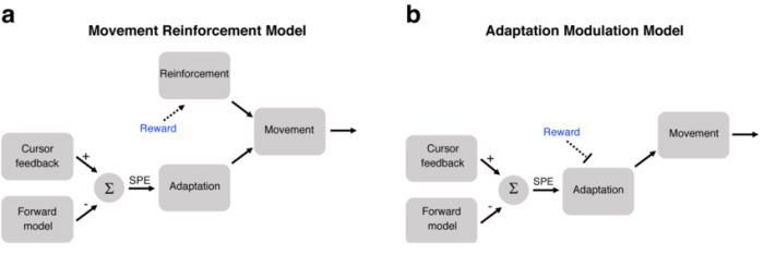 Intrinsic extrinsic vs reward rewards motivation drives community between their differences lithium motivated intrinsically behavior size motivations distinction so t5